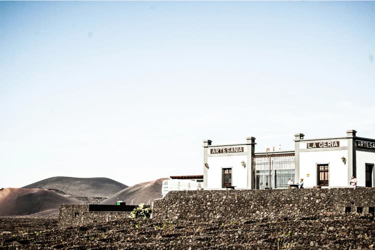 Wine Region