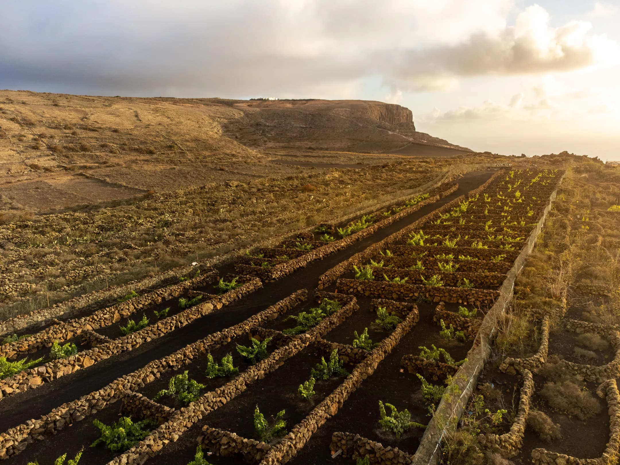 Dramatic Famara cliffs with hiking trail and ocean views towards La Graciosa