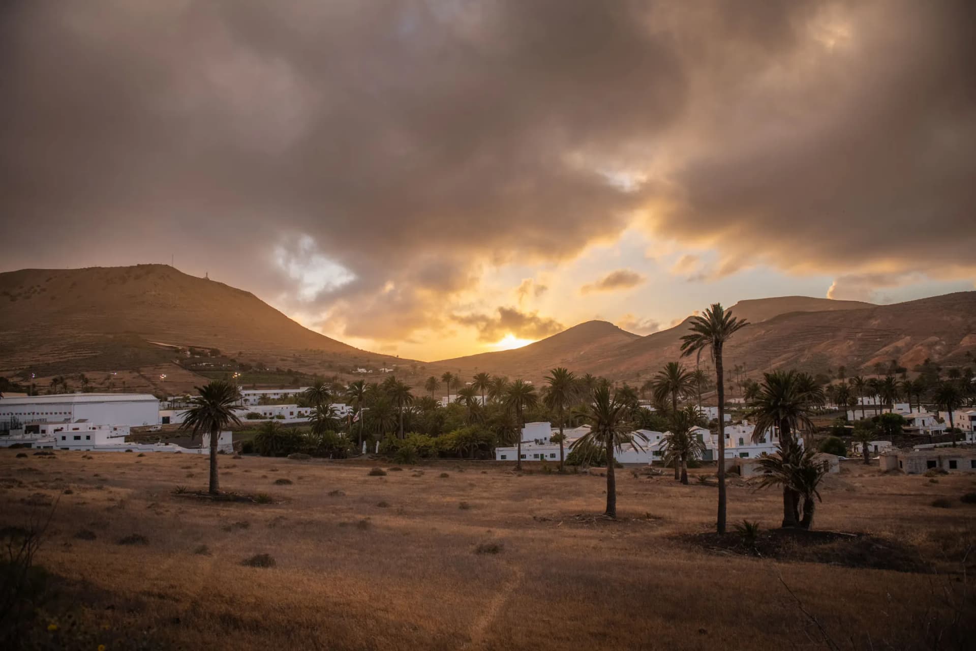 Panoramic view of Haría Valley with traditional Canarian architecture and palm trees