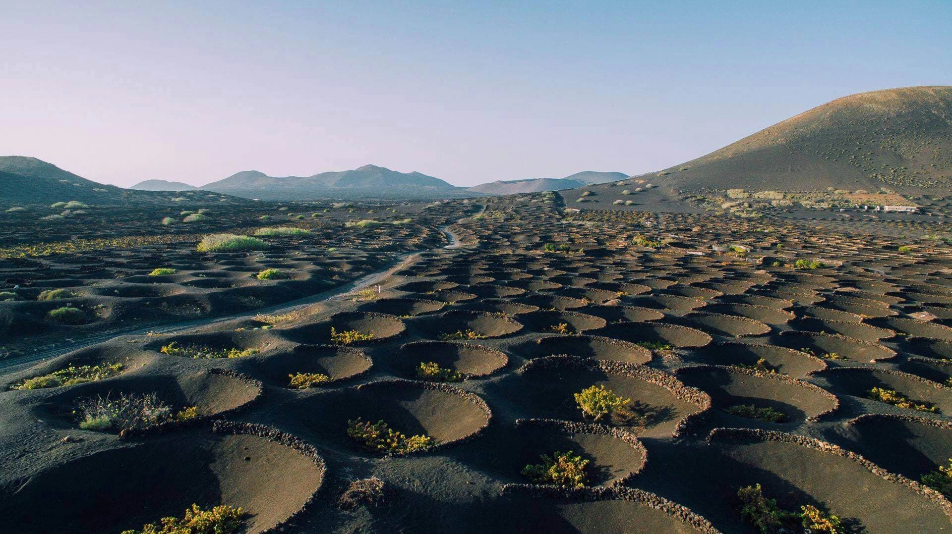 Traditional Bodega Los Bermejos with distinctive Italian-designed wine bottles