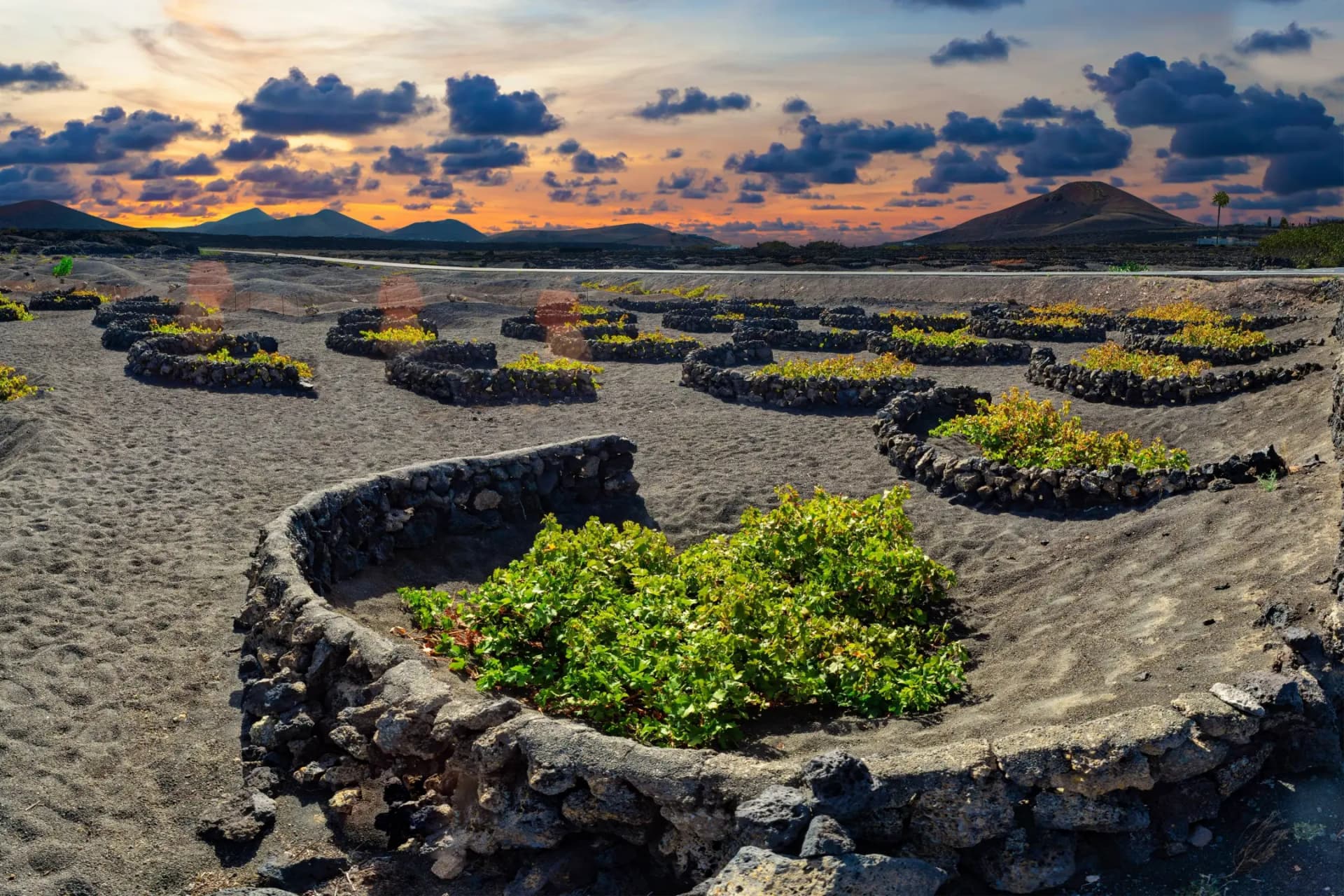 Viñedos de La Geria con paisaje volcánico en Lanzarote