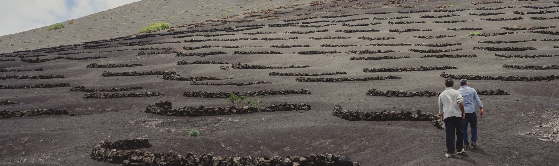 Volcanic tube cellar at Bodegas Timanfaya with natural rock formations and wine barrels